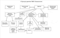 Структура управления МБОУ "Евдская школа"